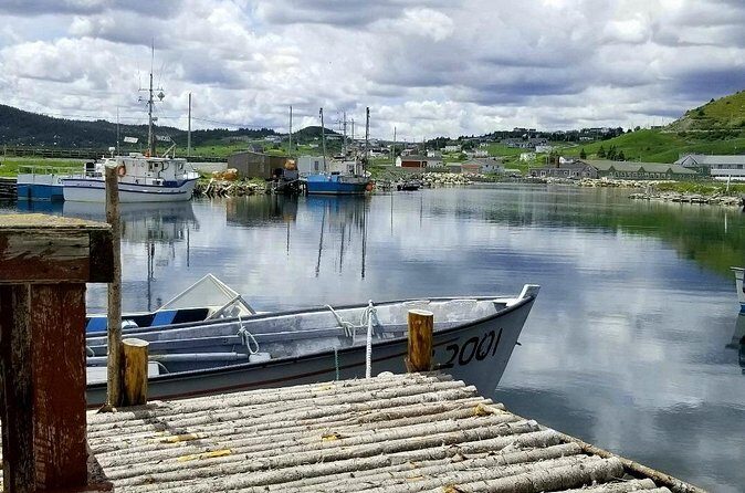 Irish Loop to Ferryland Tour - Colony of Avalon: the hour that adds real historical weight