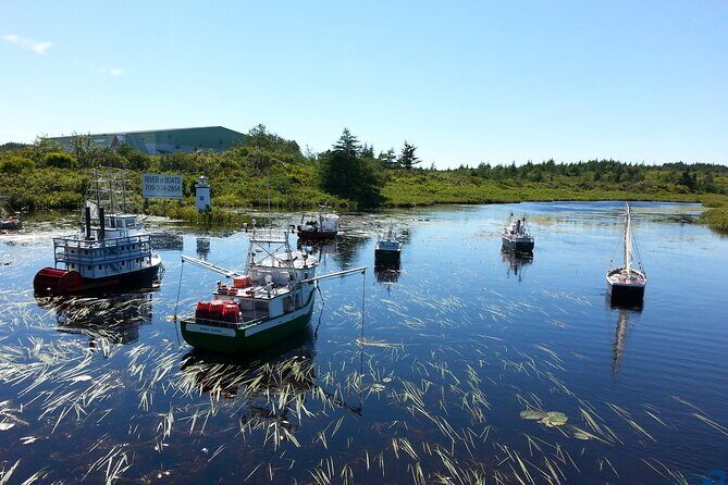 Irish Loop to Ferryland Tour - Bay Bulls: a fast look at the harbor and the seabird world