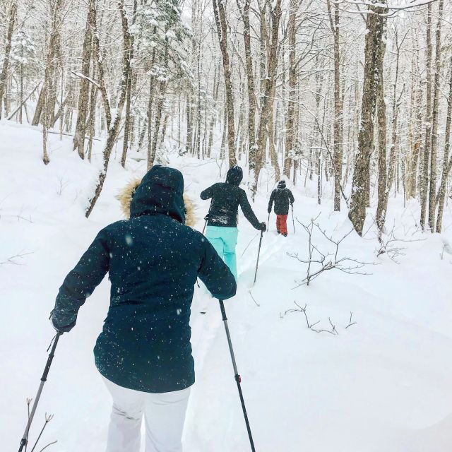 Jacques-Cartier National Park: Skiing Excursion - On the trail for three hours: pace, technique, and wildlife moments
