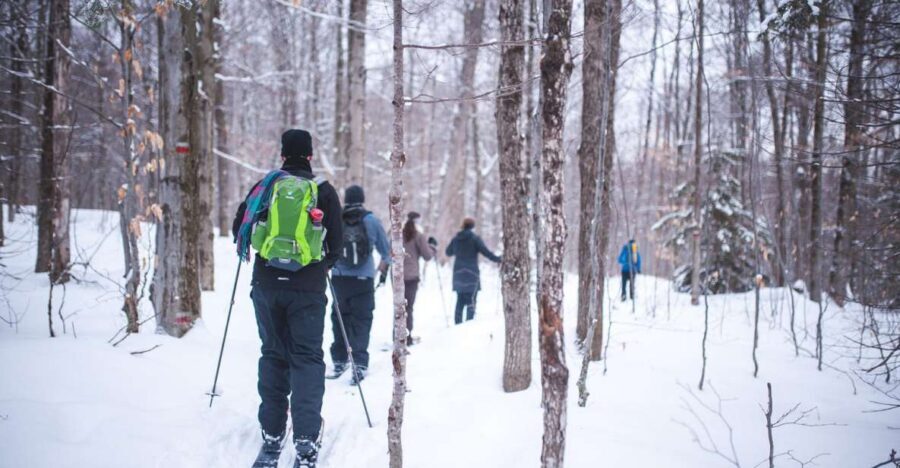 Jacques-Cartier National Park: Skiing Excursion - Weather and snow: the one variable to plan around