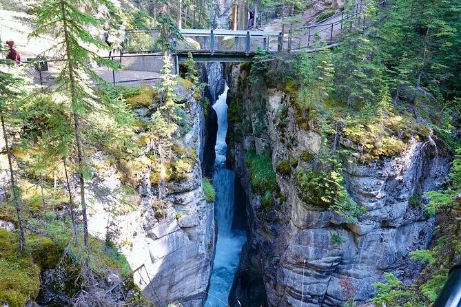 Jasper and Columbia Skywalk Icefield Parkway Private Day Tour - Tips to get the best day from Athabasca to Banff