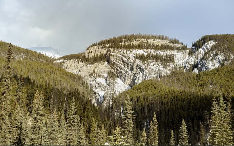 Jasper: Maligne Valley And Pleckatis Canyon Tour - Why this Jasper tour works so well in limited time