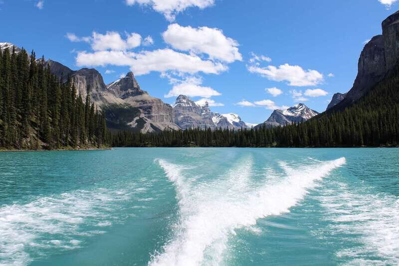 Jasper: Maligne Valley Wildlife & Spirit Island Cruise - A well-paced 6-hour window into Maligne Valley