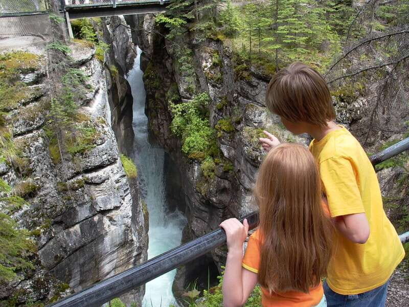 Jasper: Maligne Valley Wildlife & Spirit Island Cruise - Maligne Canyon area: wildlife chances with real payoff
