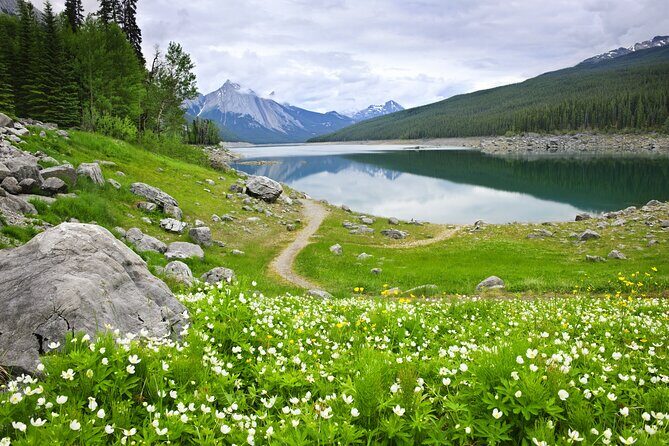 Jasper National Park Self-Guided Driving Audio Tour - Park pass needed: the one expense you can’t skip