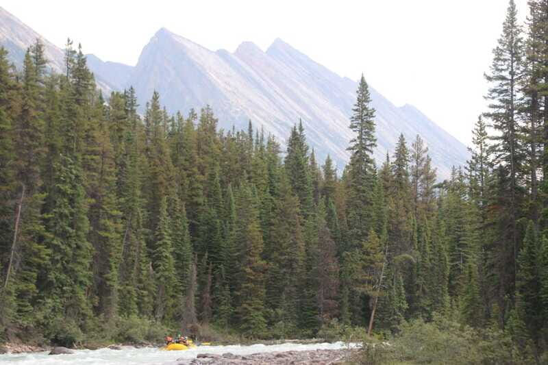 Jasper National Park: Sunwapta River White Water Rafting - Endless Chain Views While You’re White-Knuckling (In a Good Way)