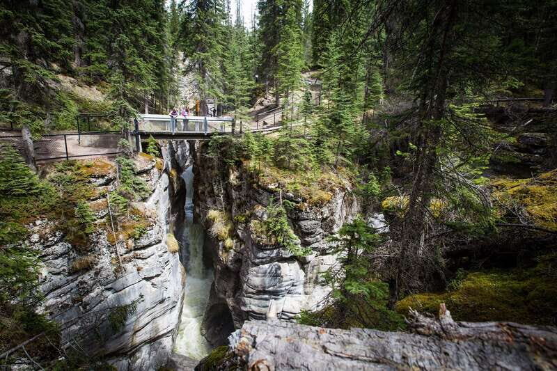 Jasper: Sightseeing Tour with Maligne Lake Cruise - Jasper Train Station Pickup to Townsite Views