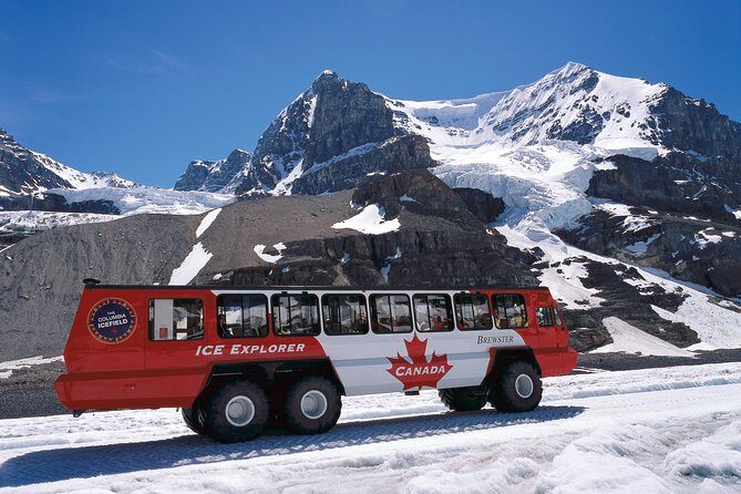 Jasper to Banff One-Way Tour - The Icefields Parkway run: your main checkpoints (and what to expect)