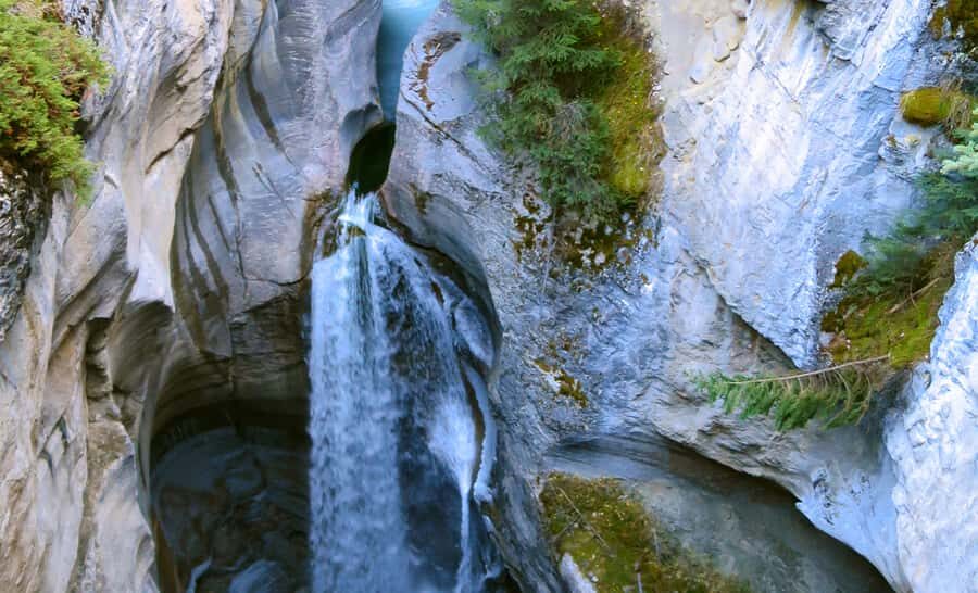 Jasper: Wildlife and Sightseeing Tour with Lakeshore Hike - Key points to know before you go