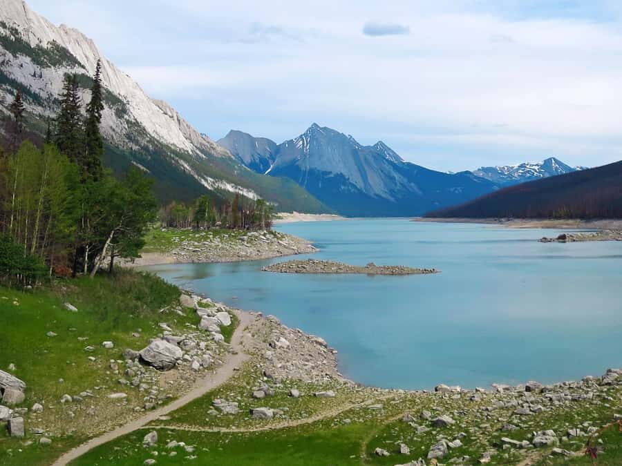 Jasper: Wildlife and Sightseeing Tour with Lakeshore Hike - Should You Book This Maligne Adventures Wildlife and Lakeshore Hike?