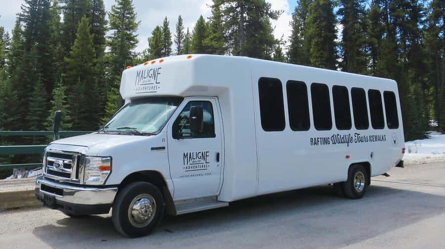 Jasper: Wildlife and Sightseeing Tour with Lakeshore Hike - Wildlife Scouting in Maligne Valley: What You Can Realistically See
