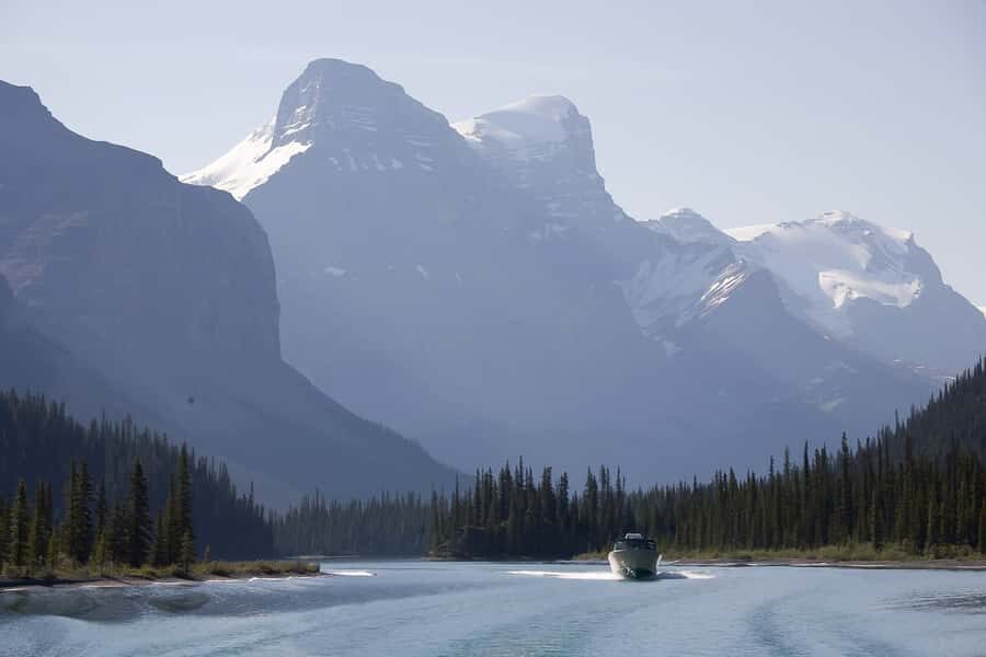 Jasper: Wildlife and Sightseeing Tour with Maligne Cruise - Food, timing, and the real cost of going