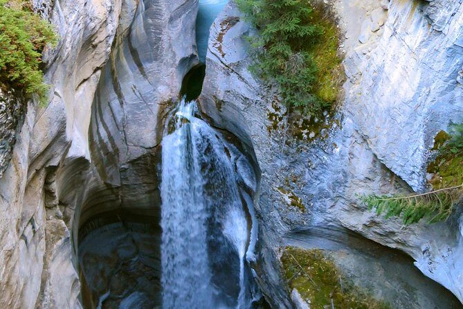 Jasper Wildlife and Sightseeing Tour with Maligne Lake Hike - Jasper’s Maligne Valley: one efficient day with big scenery payoff