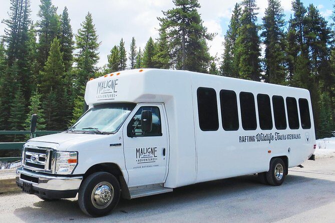 Jasper Wildlife and Sightseeing Tour with Maligne Lake Hike - The drive through sub-alpine habitat: wildlife spotting that’s fun, not forced