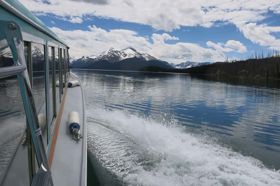Jasper: Wildlife and Waterfalls Tour with Maligne Cruise - Should you book the Jasper Wildlife and Waterfalls Tour with Maligne Cruise?