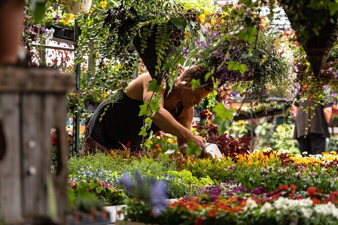 Jean-Talon Market & Little Italy Small Group Walking Tour - Food, wine, and beer recommendations you can actually use