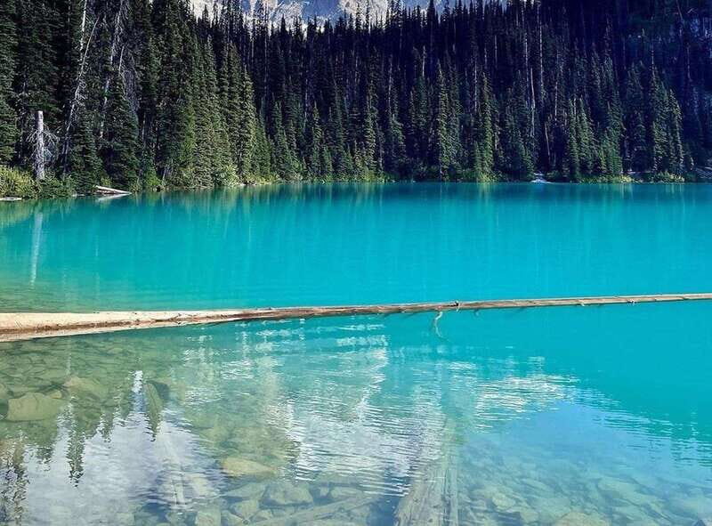 Joffre Lakes/ Hiking Day Trip - Lower Joffre Lake: the turquoise, the log, and your first big photo stop