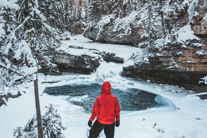 Johnston Canyon Frozen Waterfalls - Small Group Tour - Johnston Canyon in winter: the part that feels special fast