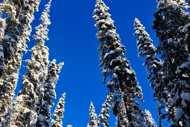 Johnston Canyon Icewalk from Banff AM - Group Size and Pace: Max 12 People Means Better Attention