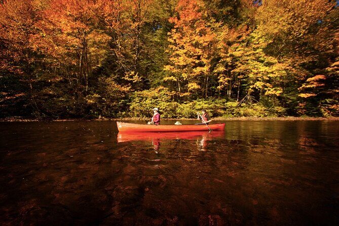 Kayak/Paddleboard Rouge River - Self Guided Descent - Value for money: what $52.18 per group gets you