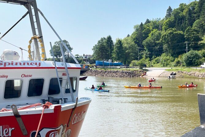 Kayak the Bay of Fundy Sea Caves - Key Things to Know Before You Kayak the Fundy Sea Caves