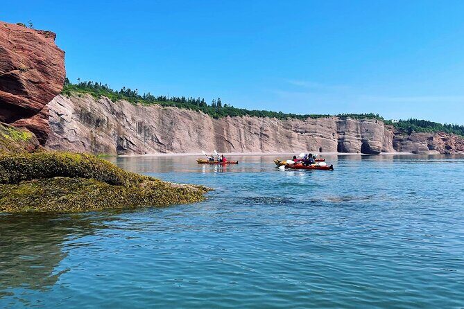 Kayak the Bay of Fundy Sea Caves - Price and Value: What $76.26 Buys You