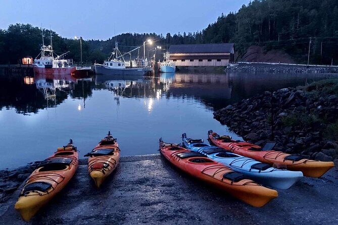 Kayak the Bay of Fundy Sea Caves - Should You Book Kayak the Bay of Fundy Sea Caves?