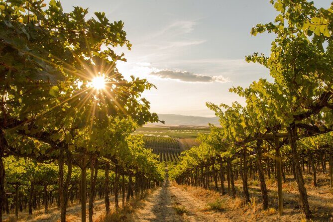 Kelowna Bachelorette Wine Tour Full Day Guided With 5 Wineries - Mt. Boucherie Estate Winery: brand-new tasting space and big food energy