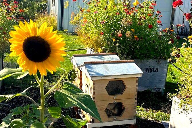 Kelowna E-Bike Bee Tour, Tastings, Organic Lunch & Audio Guide - The 20-Minute Audio Tour: Hives and the Pollinator Garden