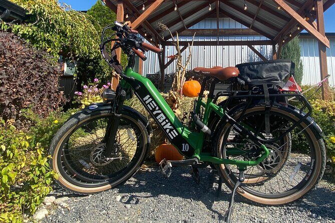 Kelowna E-Bike Bee Tour, Tastings, Organic Lunch & Audio Guide - E-Bike Comfort and Gear: What Makes This Ride Feel Easy
