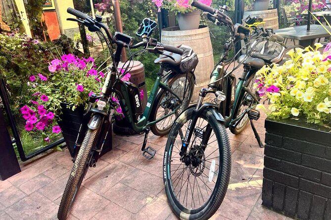 Kelowna E-Bike Bee Tour, Tastings, Organic Lunch & Audio Guide - Price of $98.21: What You’re Really Paying For