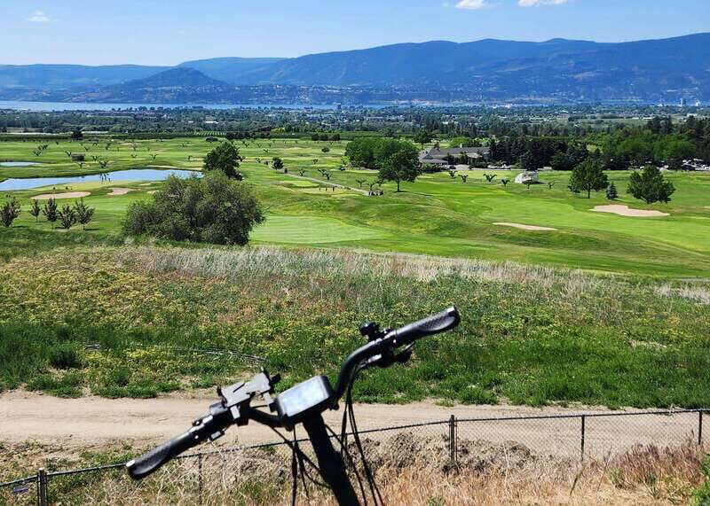 Kelowna: E-Bike Bee Tour w/ Tastings, Lunch, and Audioguide - Meadow Vista hive audio tour: learning the bee story in real time