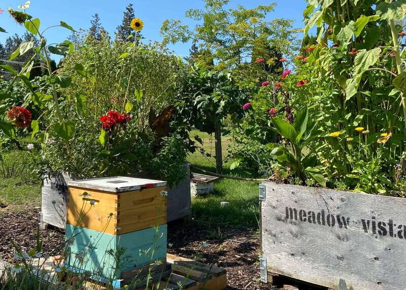 Kelowna: E-Bike Bee Tour w/ Tastings, Lunch, and Audioguide - Meadow Vista Bistro lunch: farm-to-table, with downtime built in