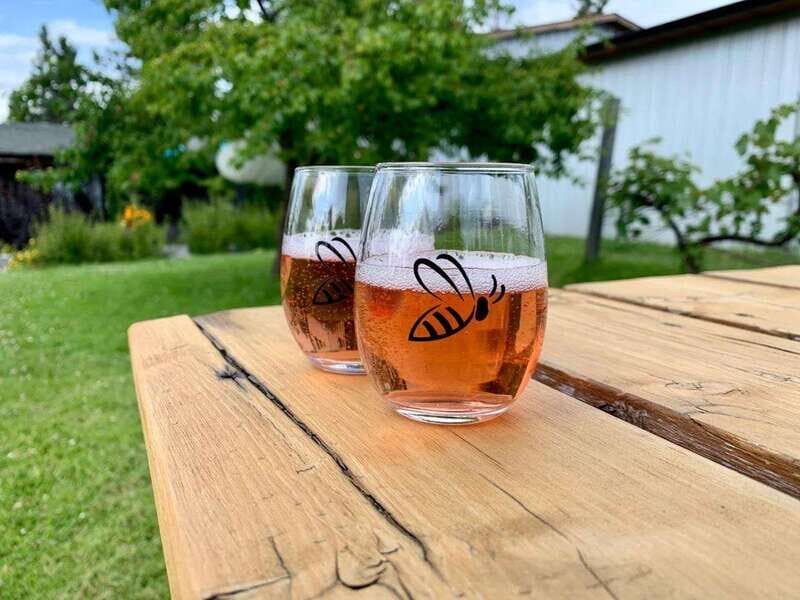 Kelowna: E-Bike Bee Tour w/ Tastings, Lunch, and Audioguide - Timing, pace, and who should choose this tour