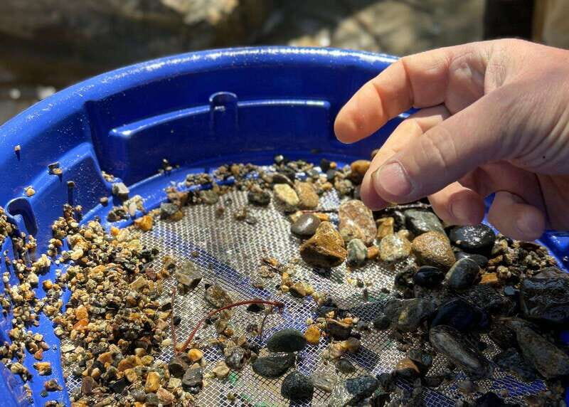 Kelowna E-Bike Gold Panning Expedition - A 4-Hour Kelowna Ride That Blends Trails and Gold Panning