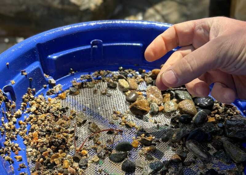 Kelowna E-Bike Gold Panning Expedition - Who This Tour Fits Best (and Who Should Skip It)