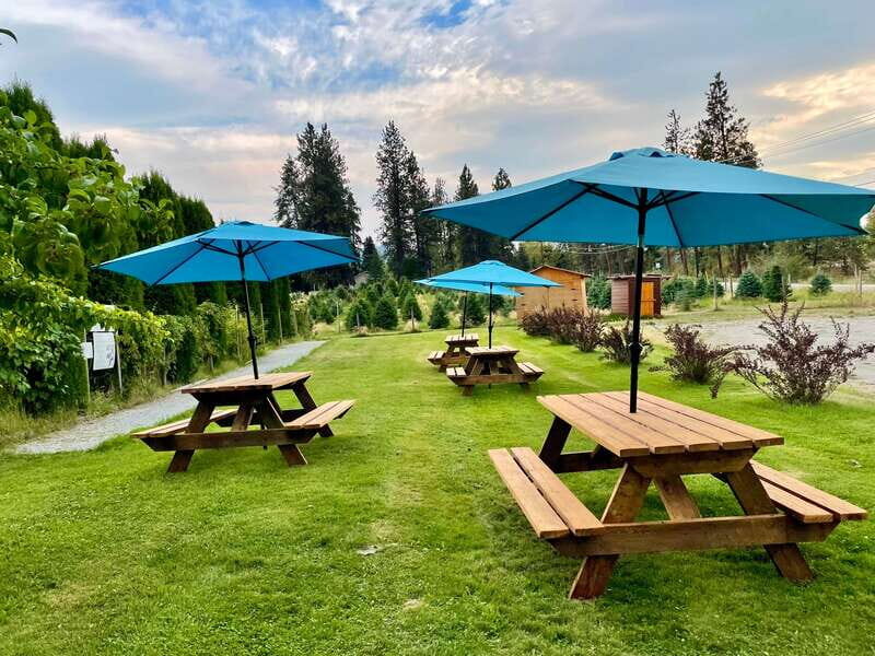 Kelowna: E-Bike Guided Wine Tour with Lunch & Tastings - The full 5-hour flow: how the timing keeps it fun