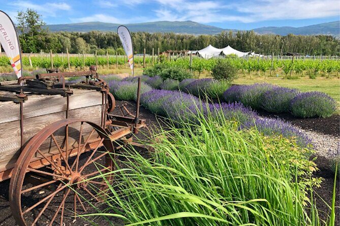 Kelowna Guided E-Bike Wine Tour with Tastings and Okanagan Lunch - Why this Kelowna e-bike wine loop is a different kind of tasting