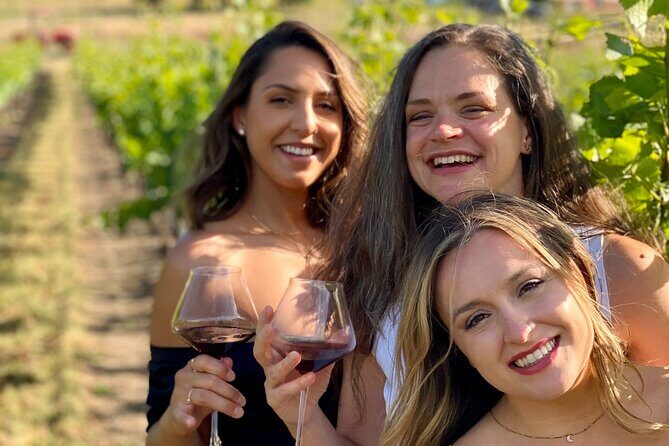 Kelowna Mystery Full Day Guided Wine Tour With 5 Wineries - Stops 3 and 4: Mt. Boucherie Estate Winery, tasting plus a Modest Butcher lunch