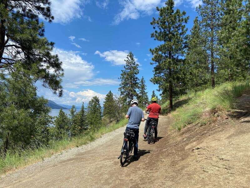 Kelowna: Okanagan Lake Guided E-Bike Tour with Picnic - E-Bikes, Helmets, and Phone Mounts: The Gear That Changes Your Day