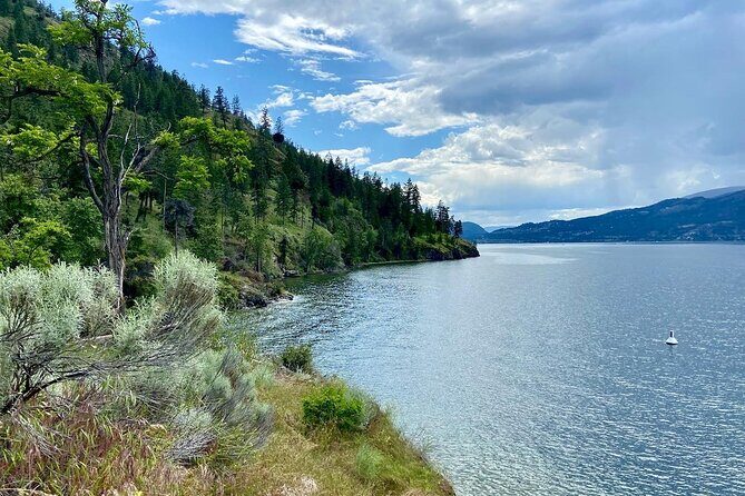 Kelowna: Okanagan Lake Views Guided E-Bike Tour with Picnic - How the e-bike makes Knox Mountain practical