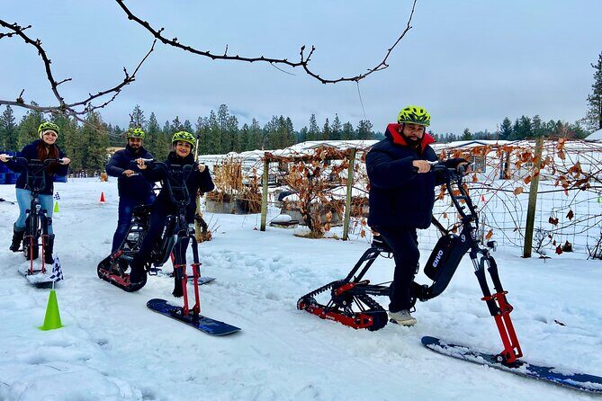 Kelowna Snow E-Biking Adventure with Lunch, Wine Tasting & S'mores - Lunch break: the Okanagan Charcuterie Bee-nto Box