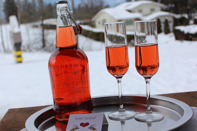 Kelowna Snow E-Biking Adventure with Lunch, Wine Tasting & S'mores - S’mores by the campfires: included and properly set up