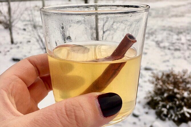 Kelowna Snow E-Biking Adventure with Lunch, Wine Tasting & S'mores - What kind of fitness and comfort you need