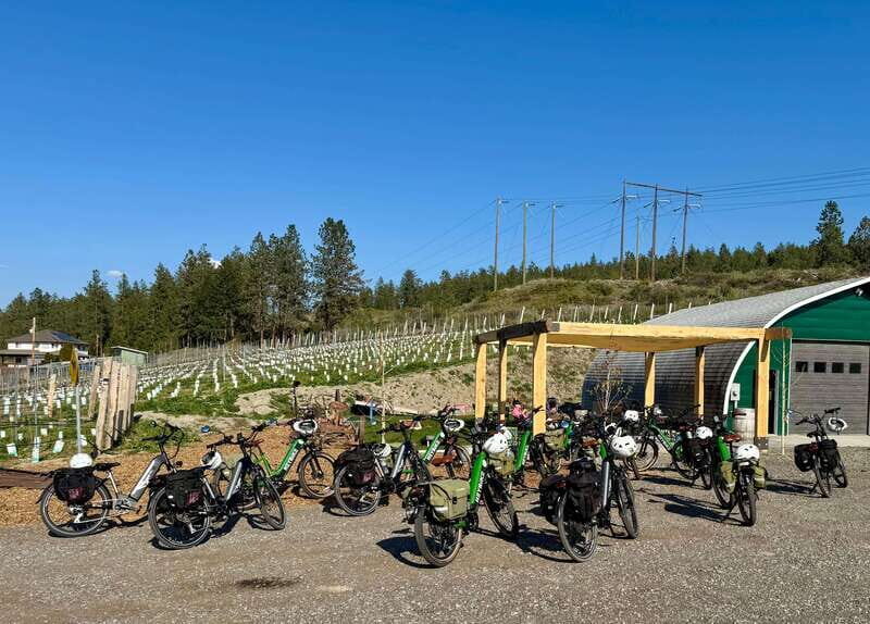 Kelowna: Wine Tasting by E-bike, Smartphone Guide & Lunch - The Okanagan Valley route: 29 km that’s built for first-time e-bike riders