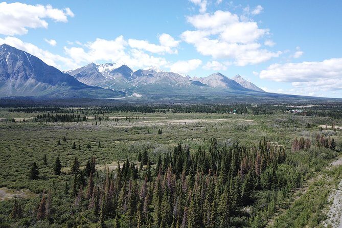 KLUANE NATIONAL PARK - Day-Trip from Whitehorse - Haines Junction: why the town stop is more than a break