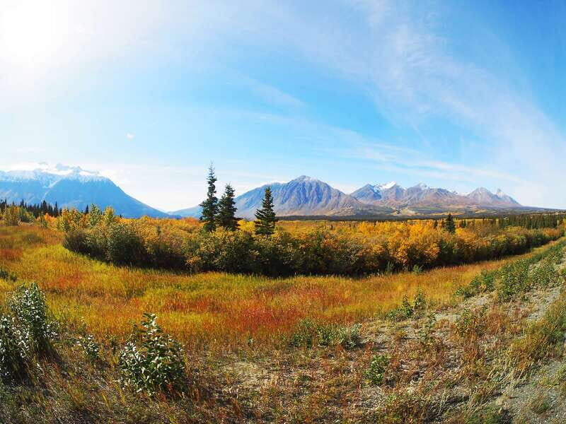 Kluane National Park: Full Day Tour - Key Things I’d Plan For Before You Go
