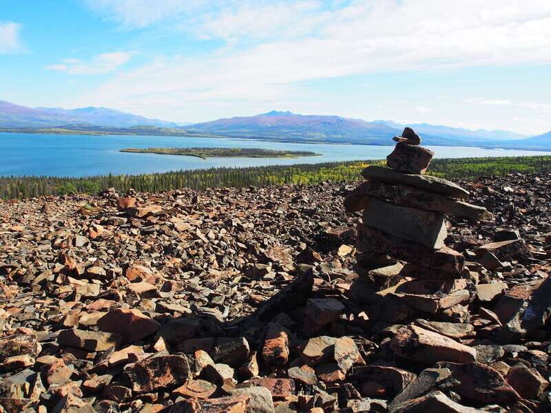 Kluane National Park: Full Day Tour - Guide Quality Matters Here (And It Shows)