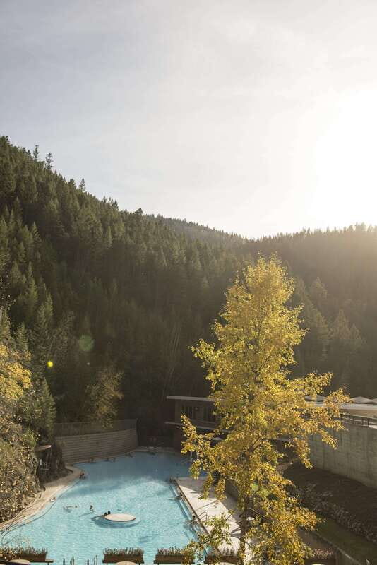 Kootenay: From Icy Mountain Rivers to Steamy Hot Springs - Marble Canyon: Ice-Caved Walk and Wildfire-Era Forest
