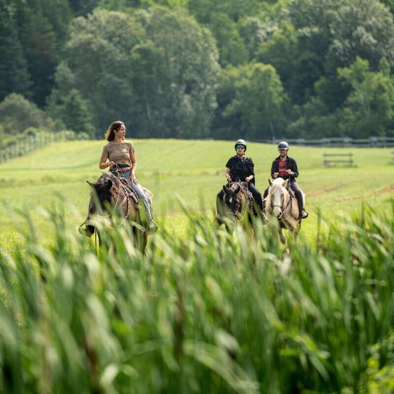 La Bleuetière: A charming introduction to horseback riding - Key points before you go